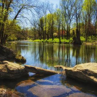River in spring wallpaper