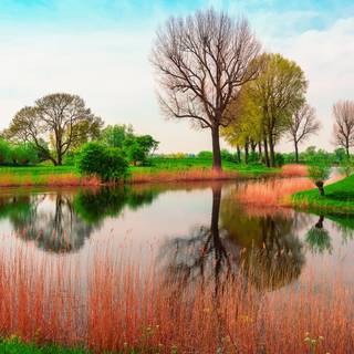 River in spring wallpaper