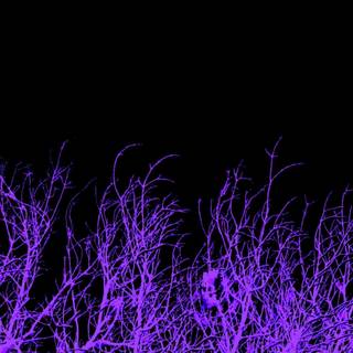 Dark purple aesthetic wallpaper