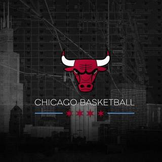 Chicago Bulls logo wallpaper