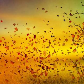 Girl and leaves wallpaper