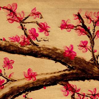 Aesthetic Cherry Blossom wallpaper