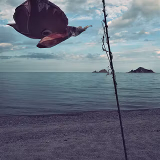 Girl and graven wallpaper