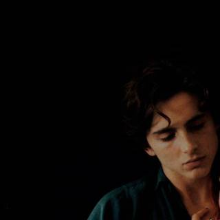 Timothée wallpaper