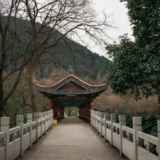 Spring rain wind wallpaper