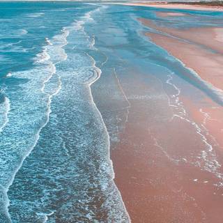 Women in the sea wallpaper