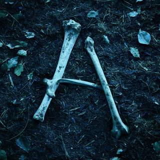 Ozark phone wallpaper