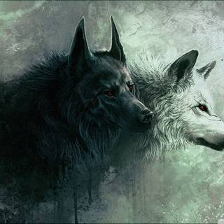 Teen Wolf desktop wallpaper