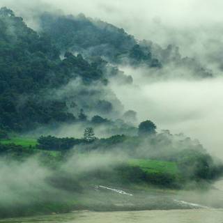 Spring mist wallpaper