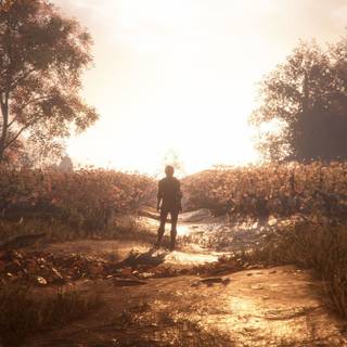 A Plague Tale: Innocence HD wallpaper