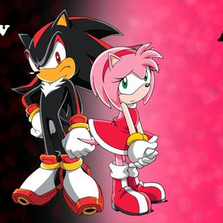 Sonic Amy wallpaper