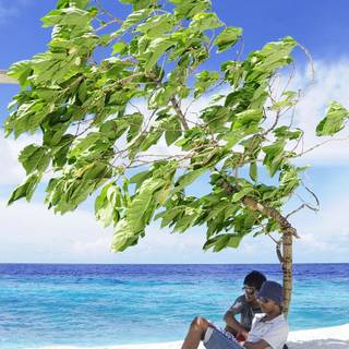 People on the beach wallpaper