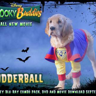 Budderball wallpaper