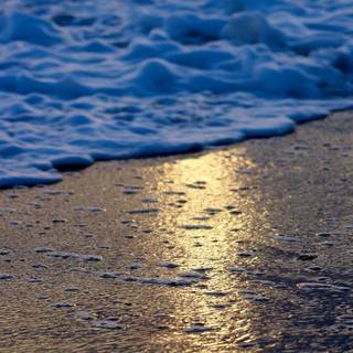 iPhone 7 Plus Full HD wallpaper