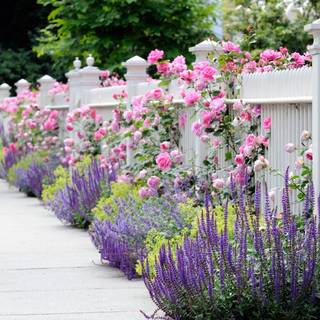 Garden fence wallpaper