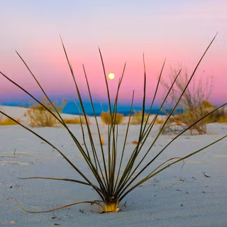 PS4 retro sunset wallpaper