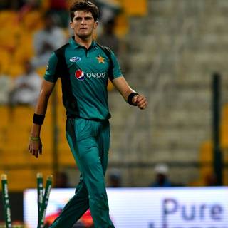 Shaheen Afridi wallpaper