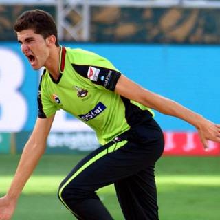 Shaheen Afridi wallpaper
