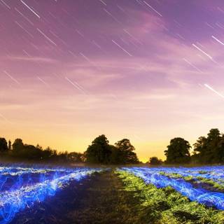 4k Android mobile wallpaper