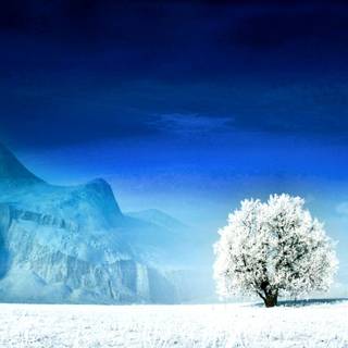 Anime lonely snow winter wallpaper