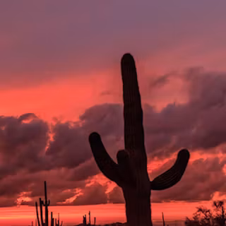 Phoenix Arizona desert iPhone wallpaper