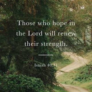 The book of Isaiah wallpaper