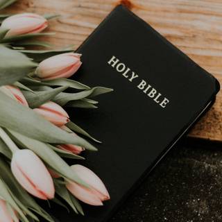 The book of Isaiah wallpaper