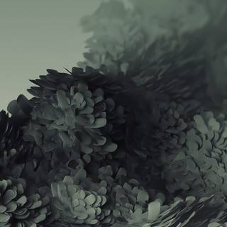 Super amoled Samsung Galaxy S20 wallpaper