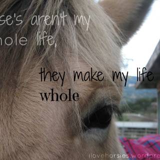 Horse quotes wallpaper