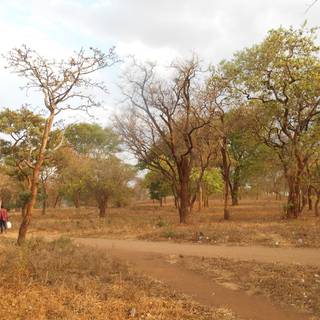 Kamuzu Banda wallpaper