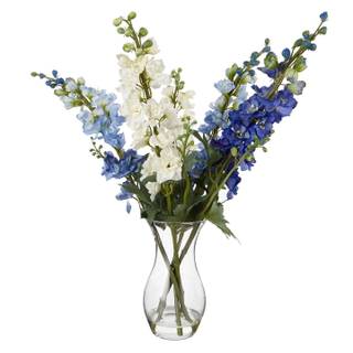 Light blue Delphinium wallpaper