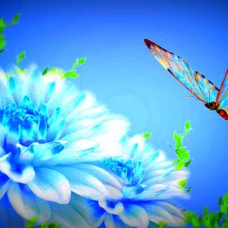 Light blue Delphinium wallpaper