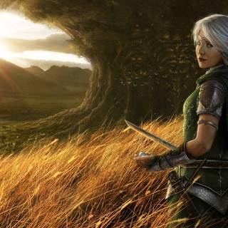 Women viking wallpaper