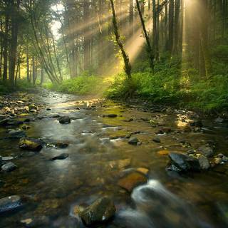 Sheila Ponce wallpaper