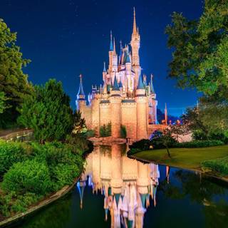 Disney World Cinderella Castle wallpaper