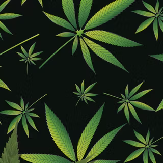 Marijuana Leaf iPhone wallpaper