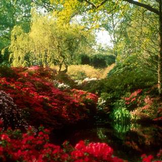 Park spring wallpaper