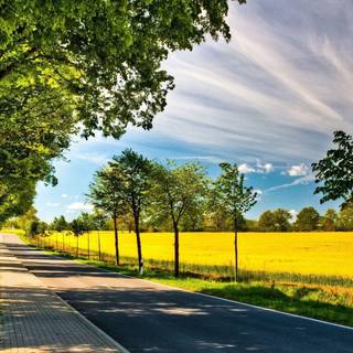 Spring laptop wallpaper