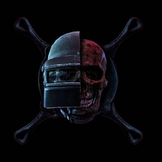 Full screen PUBG pan wallpaper