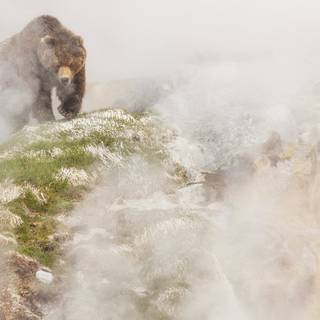 Seven Worlds One Planet wallpaper