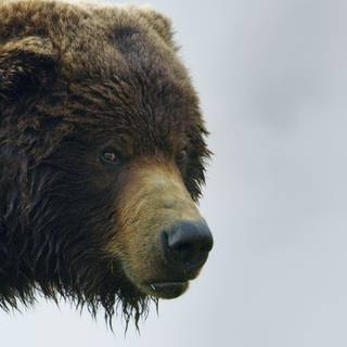 Seven Worlds One Planet wallpaper