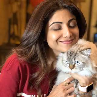 Shilpa Shetty HD wallpaper