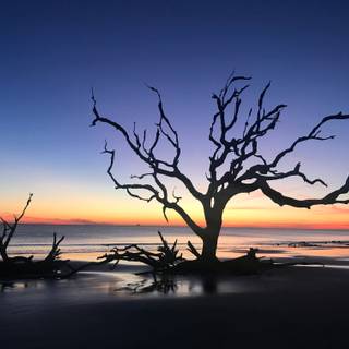 Jekyll Island wallpaper