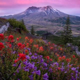 Mt. Saint Helens wallpaper