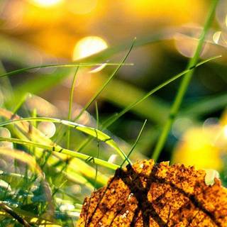 Samsung Keypad mobile wallpaper