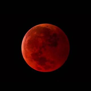 Blood HD 4k desktop wallpaper