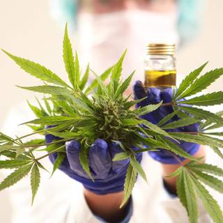 Weed edits women wallpaper