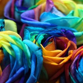 Flower aesthetic Ps4 wallpaper