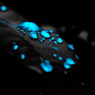 Amoled drop wallpaper