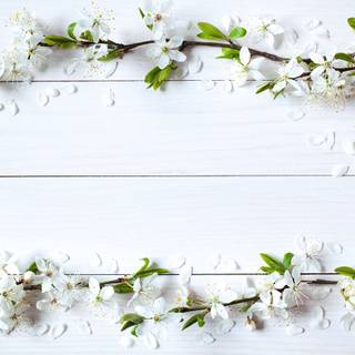 Spring flowers on wood wallpaper